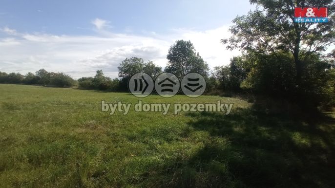 Prodej, Louka, Jenčice