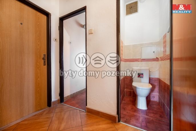 Prodej, Byt 3+1, Čistá