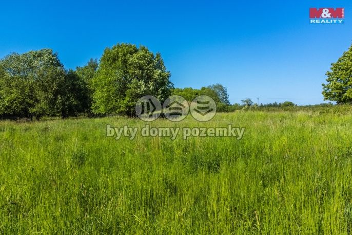 Prodej, Pole, Krásná Lípa