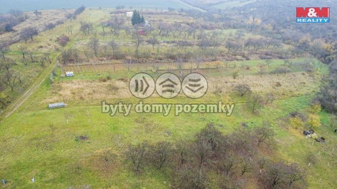 Prodej, Vinice, Bukovany