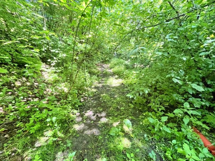 Prodej, Vodní plocha, Skalice u České Lípy