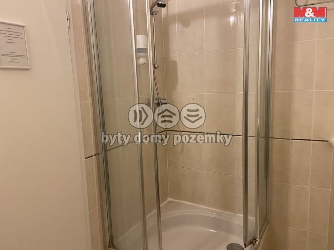 Pronájem, Byt 4+kk, Plzeň