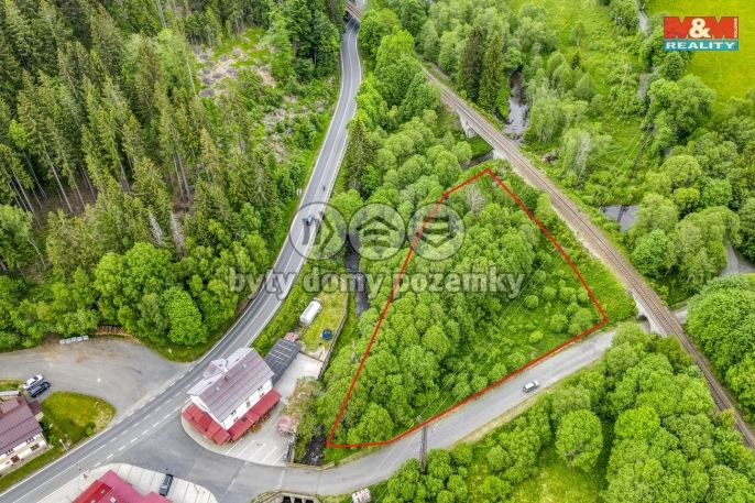 Prodej, Vodní plocha, Železná Ruda