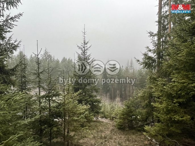 Prodej, Les, Pecka