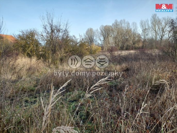 Prodej, Zemědělská usedlost, Třebovle