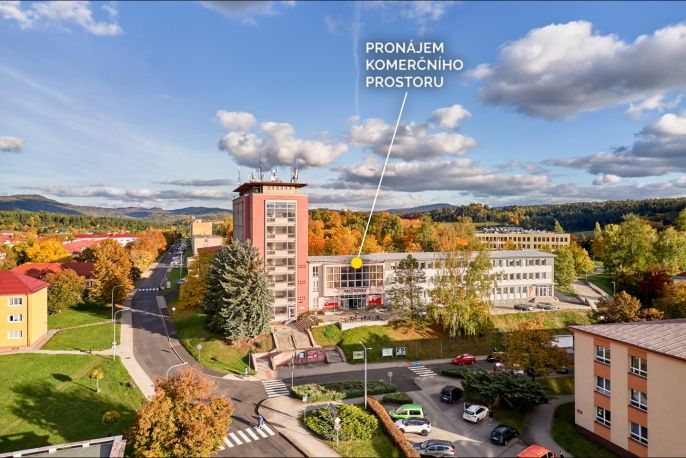 Pronájem, Obchodní objekt, Ostrov