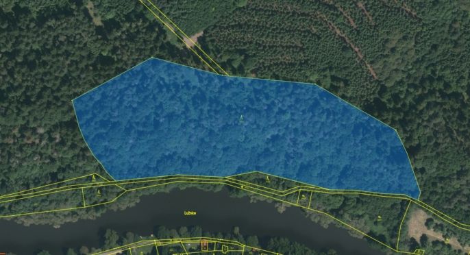 Prodej, Les, Řepeč