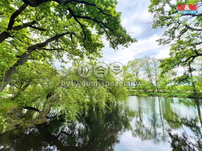 Prodej, Vodní plocha, Žulová