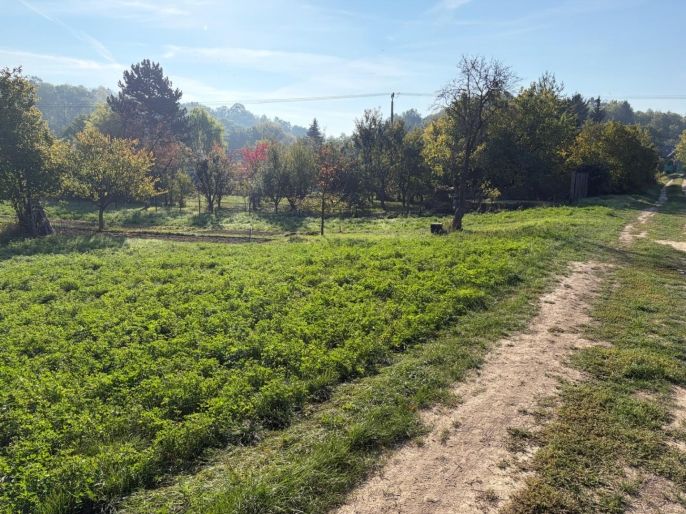 Prodej, Zahrada, Šlapanice