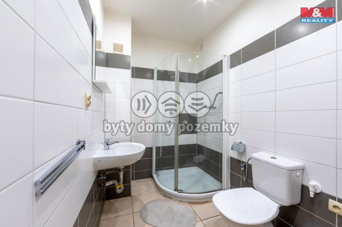 Prodej, Nájemní dům, Březová