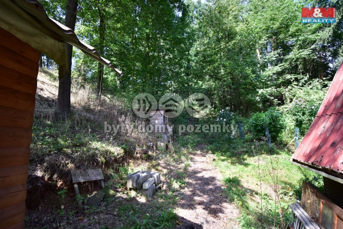 Prodej, Chata, Bechyně