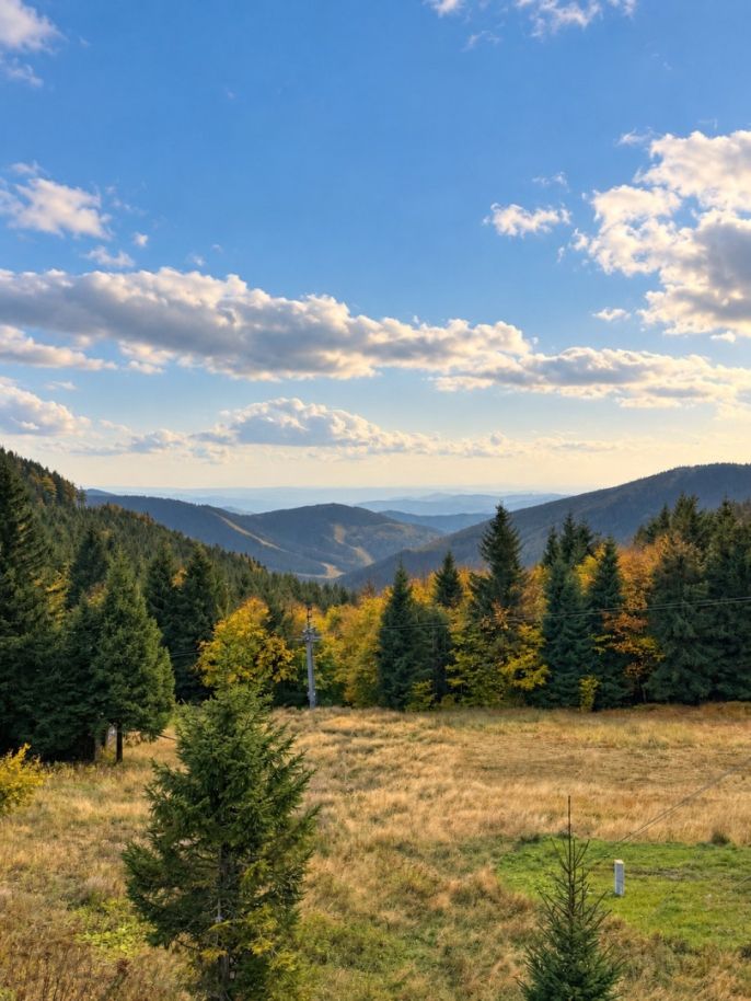 Prodej, Byt 1+kk, Loučná nad Desnou
