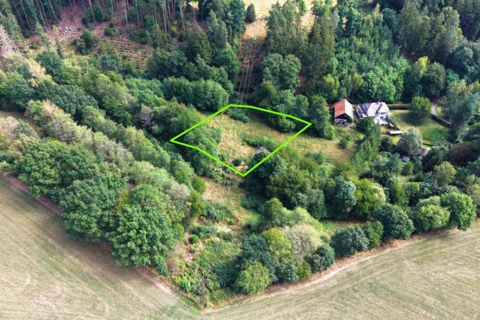 Prodej, Louka, Světlá nad Sázavou