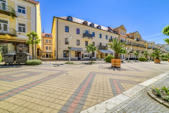 Pronájem, Byt 3+1, Františkovy Lázně