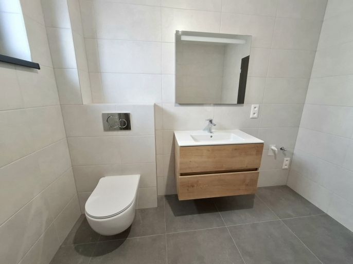 Pronájem, Rodinný dům, Hroznětín