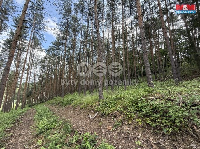 Prodej, Les, Chotilsko