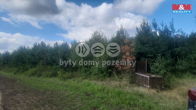 Prodej, Les, Březovice