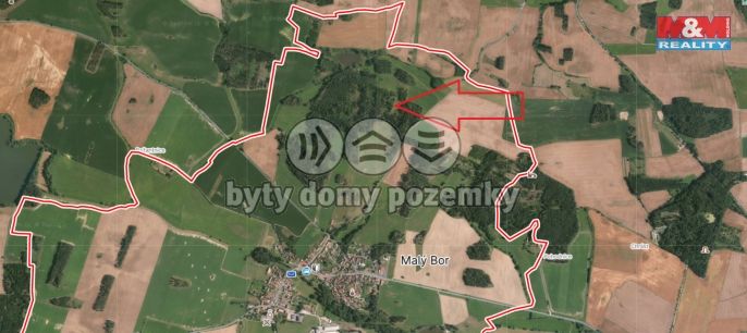 Prodej, Les, Malý Bor
