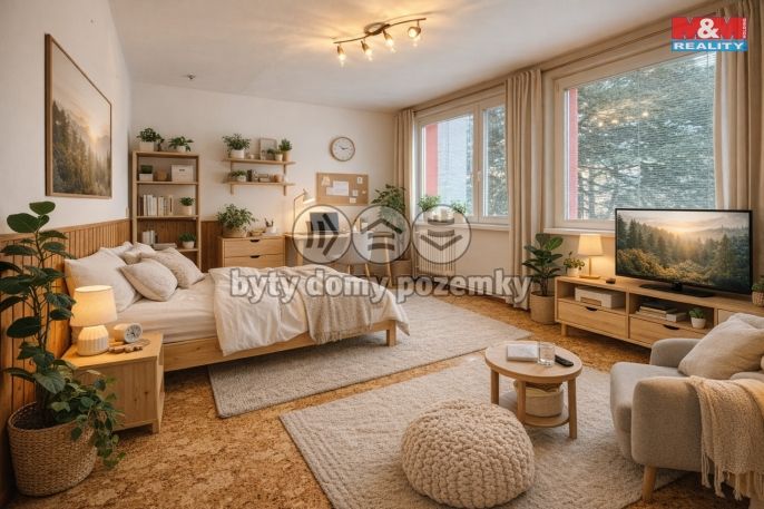 Pronájem, Byt 1+kk, Kolín