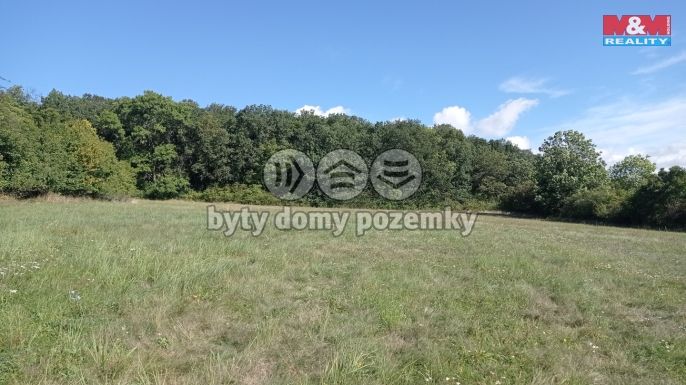 Prodej, Louka, Jenčice