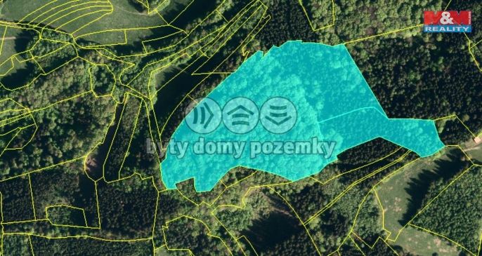 Prodej, Les, Lužná