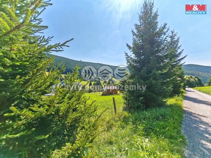 Prodej, Louka, Malá Úpa