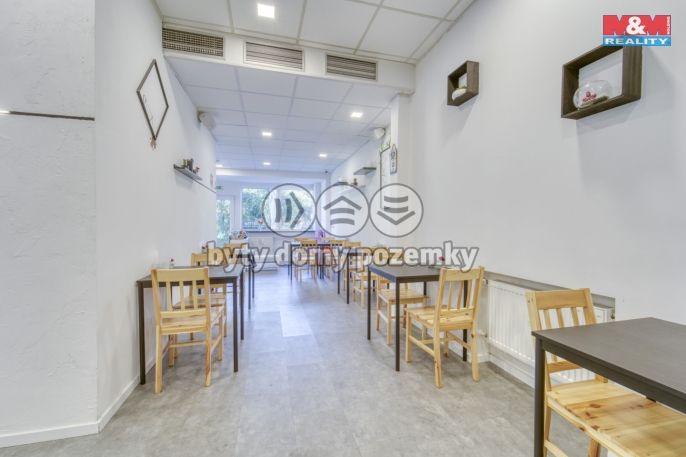 Pronájem, Obchodní objekt, Třemošná