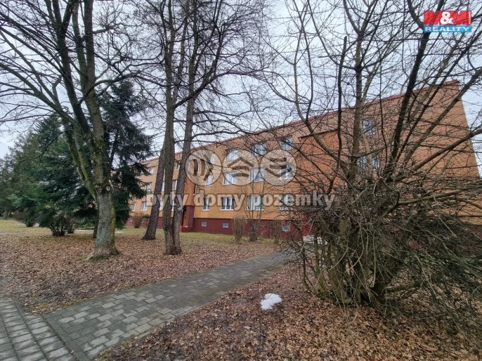 Prodej, Byt 1+1, Havířov