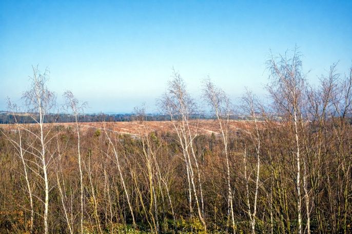 Prodej, Byt 1+kk, Doubravčice