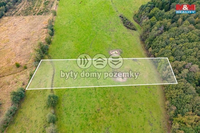 Prodej, Louka, Spálené Poříčí