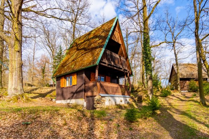 Prodej, Chata, Plavsko