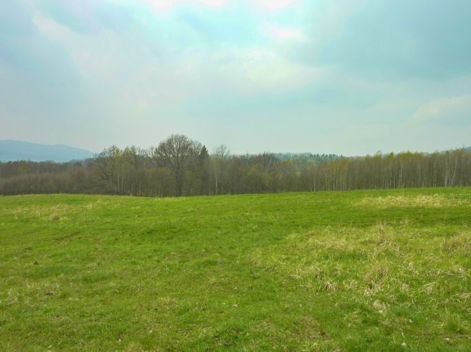 Prodej, Louka, Stružnice