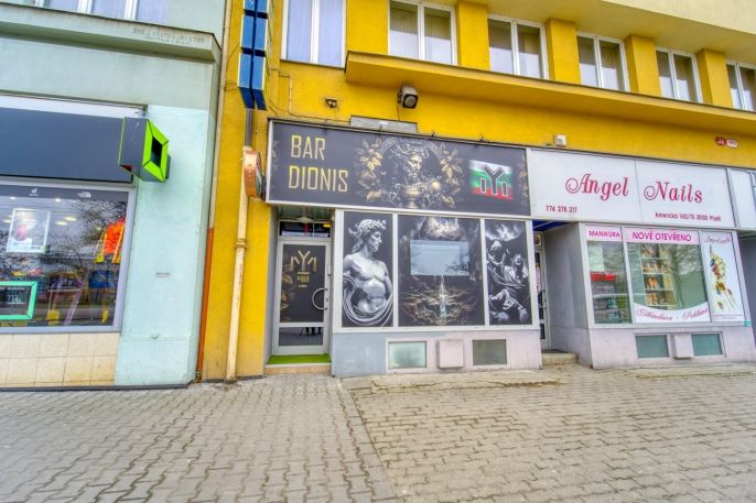 Pronájem, Obchod a služby, Plzeň