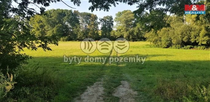 Pronájem, Zahrada, Opava