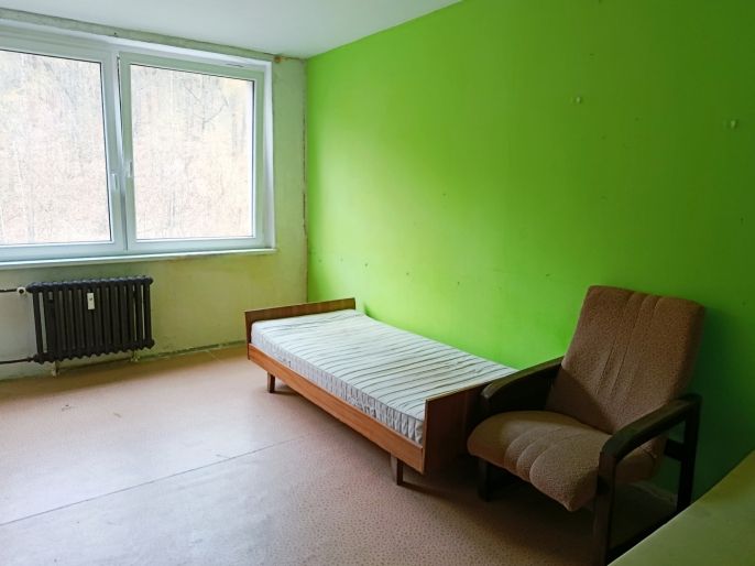 Prodej, Byt 4+1, Litvínov