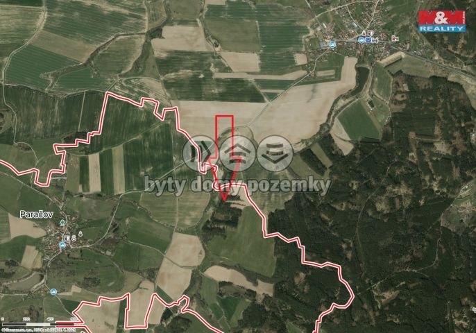 Prodej, Les, Paračov