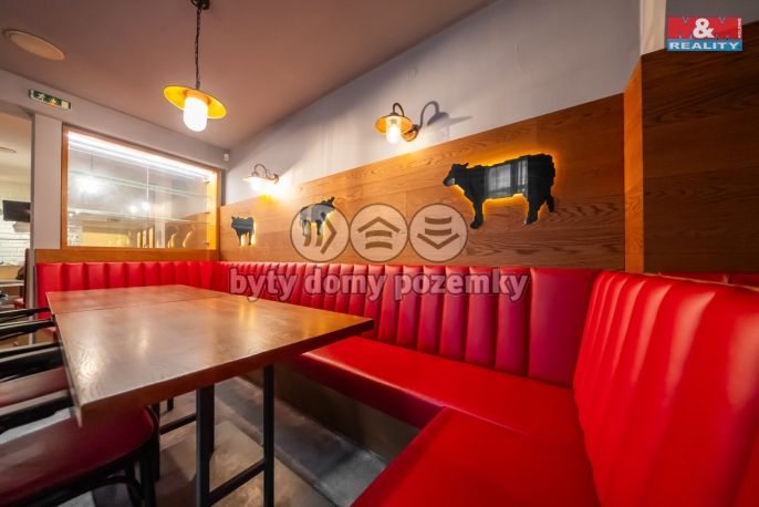 Pronájem, Restaurace, stravování, Olomouc