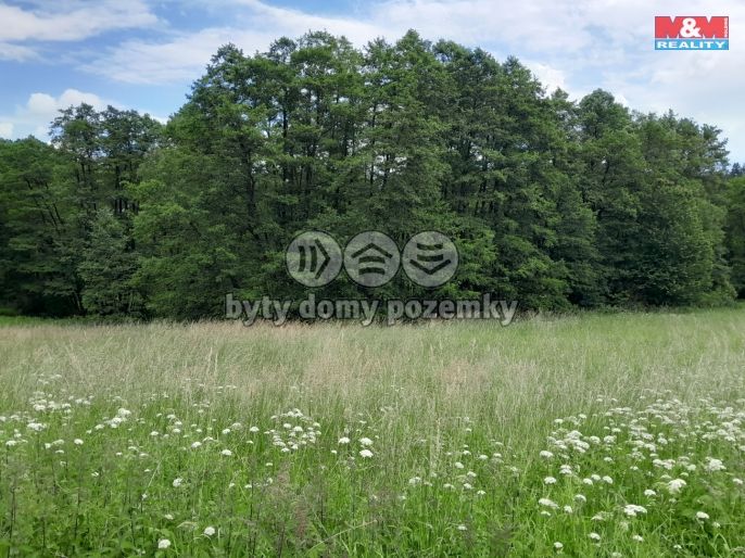 Prodej, Louka, Oselce