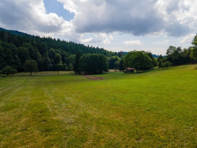 Prodej, Pozemek k bydlení, Držková