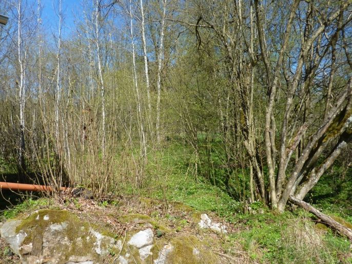 Prodej, Pozemek k bydlení, Brzice