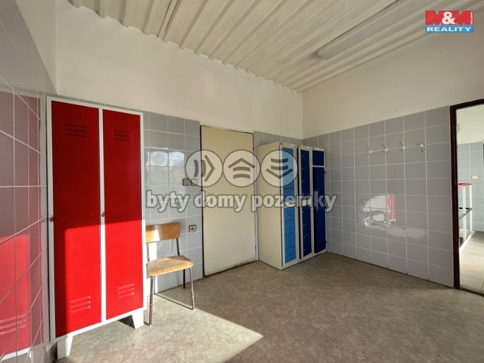 Pronájem, Výrobní objekt, Litenčice