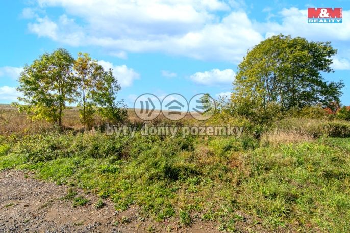 Prodej, Louka, Krásné Údolí