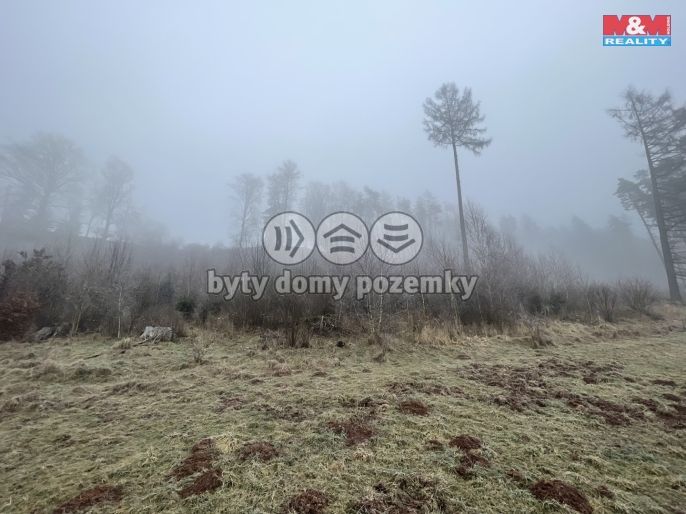 Prodej, Les, Stará Paka