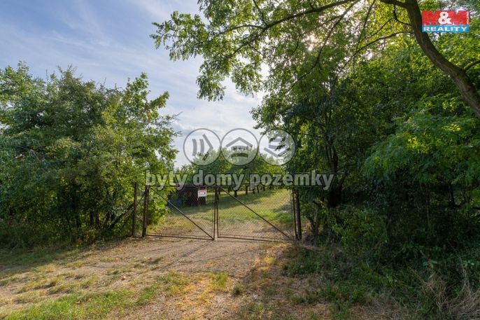 Prodej, Ovocný sad, Židlochovice