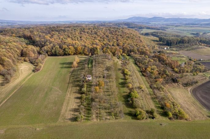 Prodej, Ovocný sad, Kostelec u Holešova