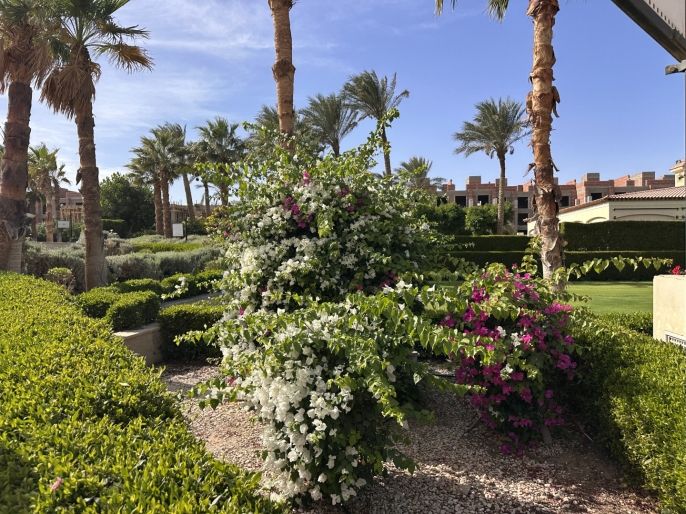 Prodej, Byt 3+kk, Hurghada 