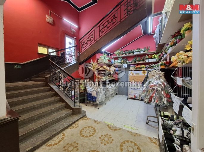 Pronájem, Obchod a služby, Ostrov