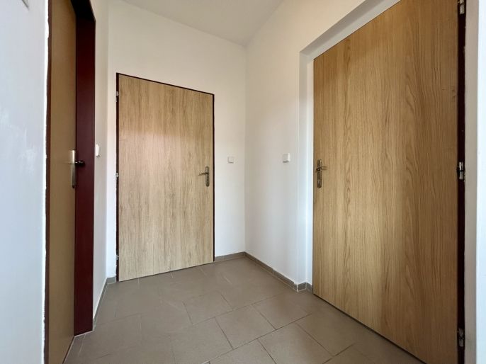 Pronájem, Byt 1+1, Švihov