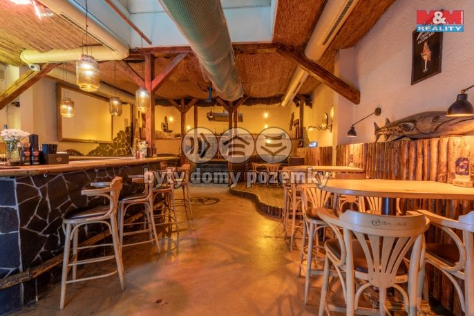 Prodej, Restaurace, stravování, Karlovy Vary