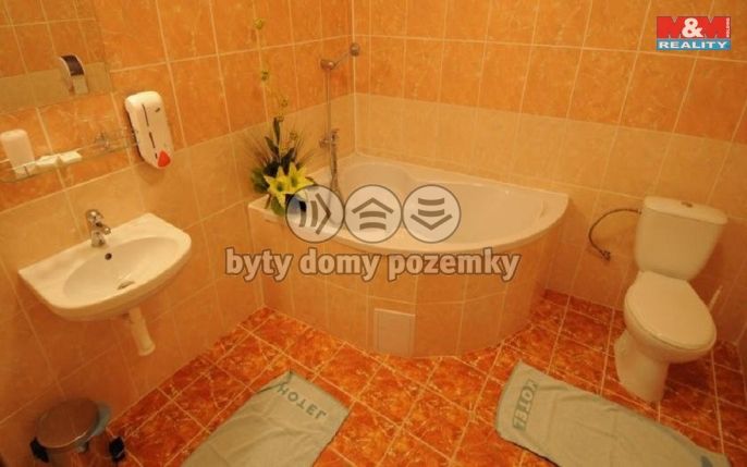 Prodej, Hotel, penzion, Karviná